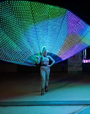 Two performers at the Credai Natcon Conference donning sparkling outfits
