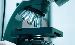 A 20220524 Focus Health 01 Microscope