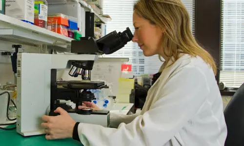 Medical researcher looking into microscope