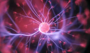 Neuron 