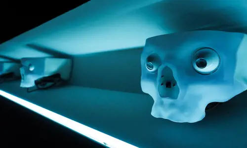 Robot face