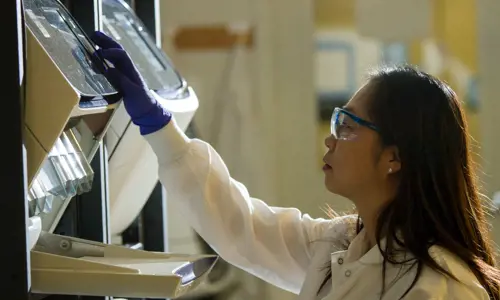 Garvan Institute of Medical Researcher