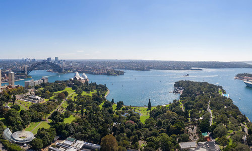 Sydney harbour view from BESydney office