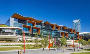 Sustainability Environemtnal Networked Sustainability