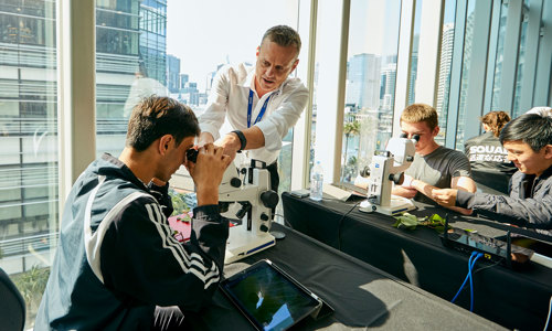 Scientists studying, looking through a microscope