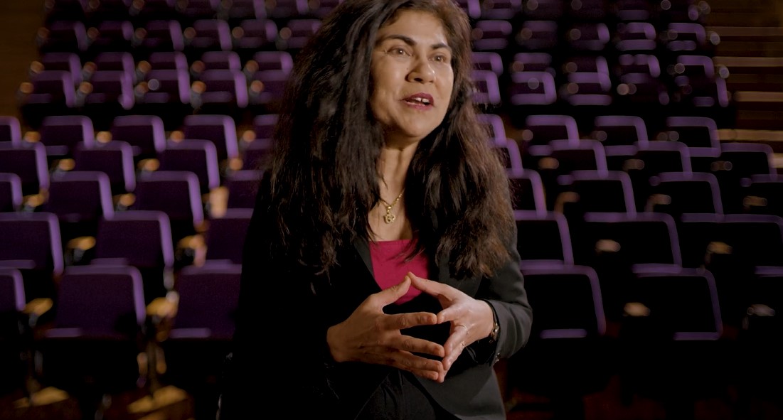 Ambassadors Video Series Veena Sahajwalla