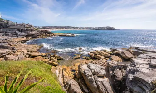 Sydney During A Conference Bondi To Bronte Coastal Walk