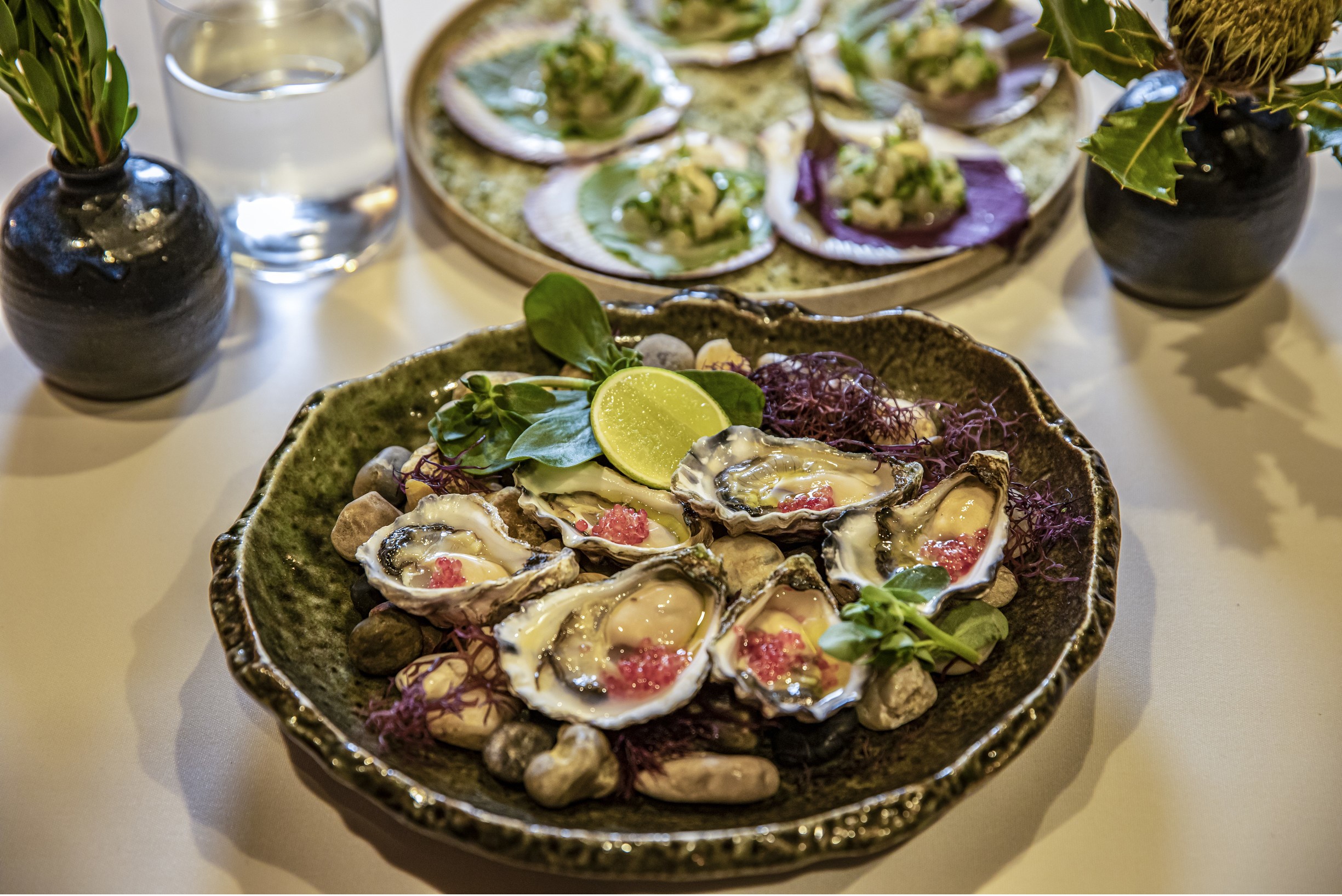 Aria Credit Destination NSW