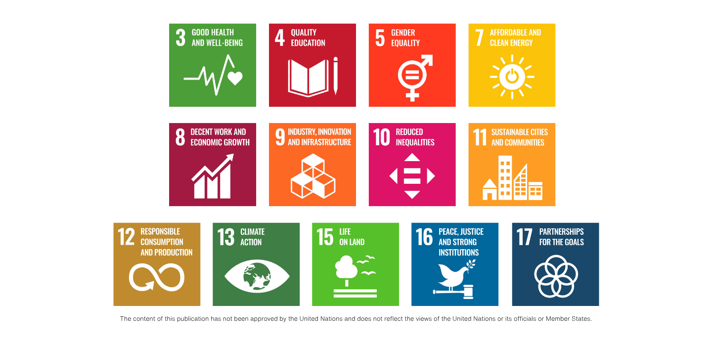 Sustainability Policy Icons UN Sustainable Development Goals