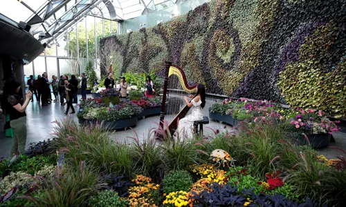 The Calyx - lady playing a harp surrounded by indoor gardens